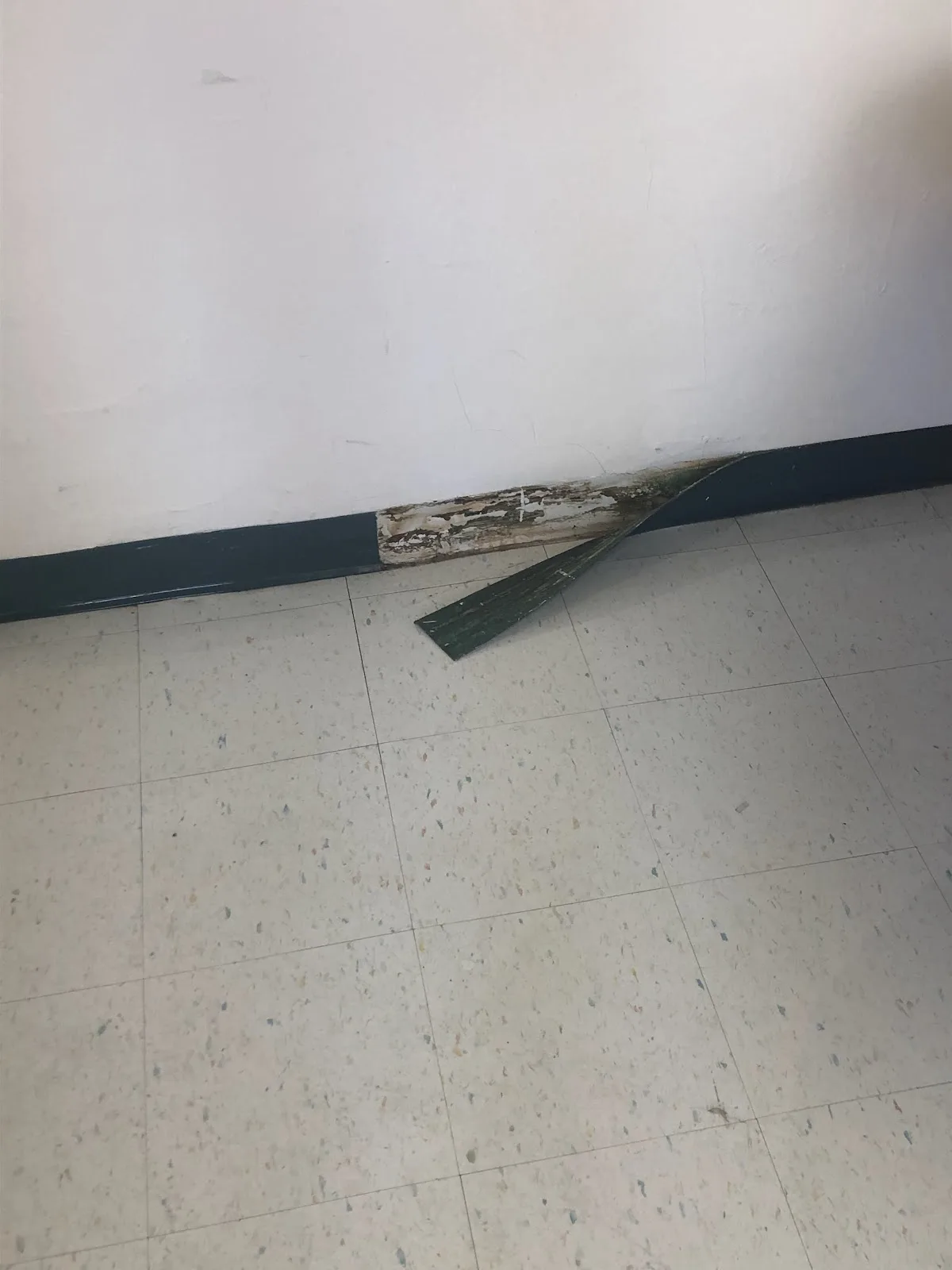 Schwab Rehabilitation - Photo 4