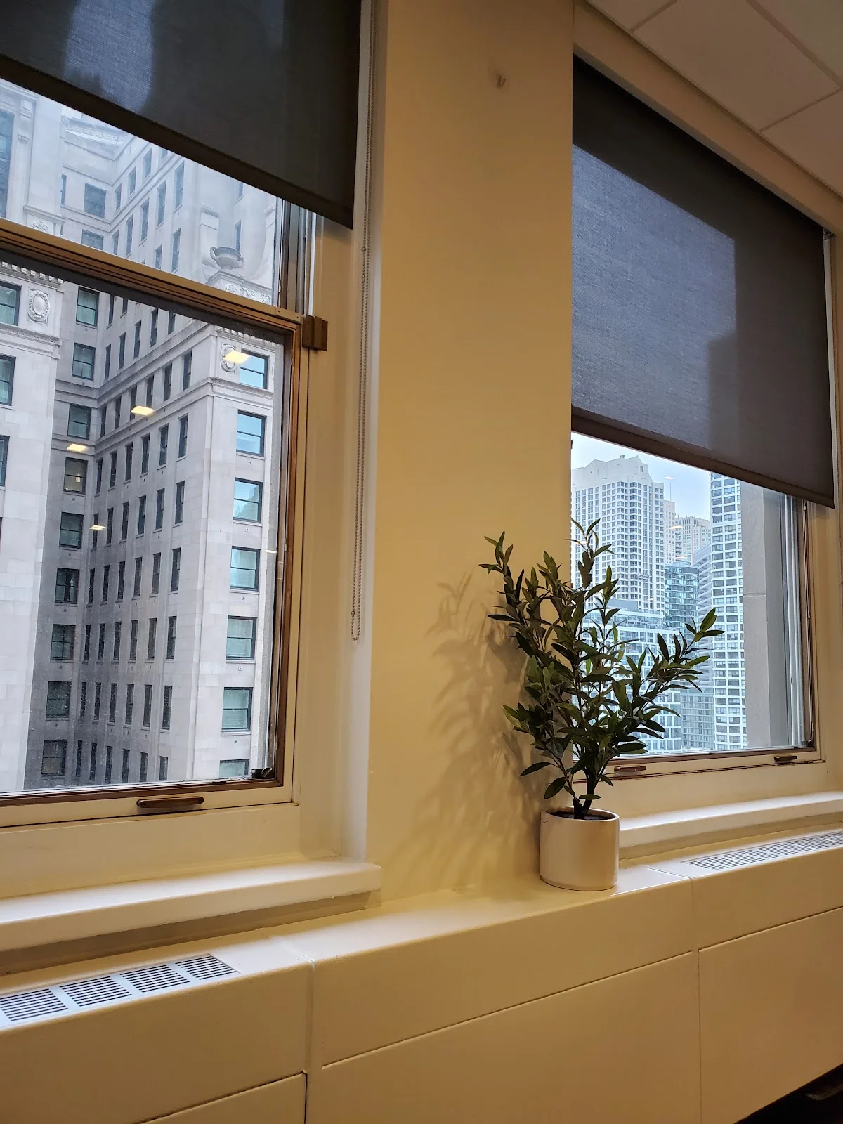 Clarity Clinic Psychiatry & Therapy