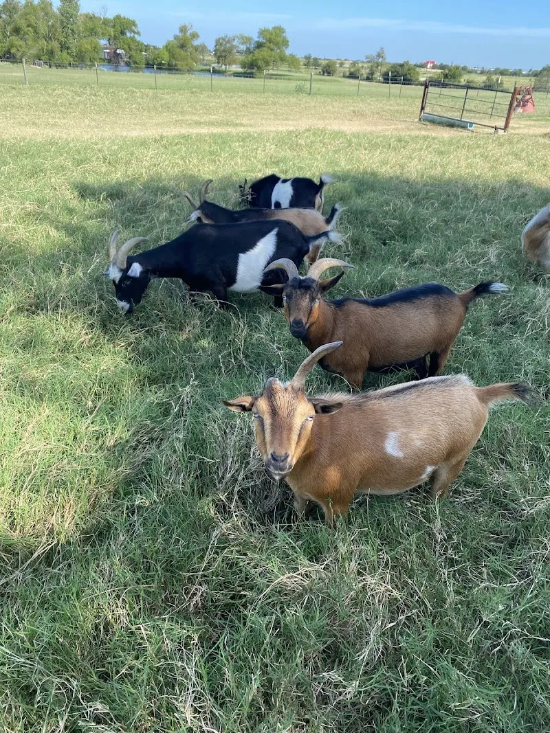 Ranch House Recovery - Photo 3