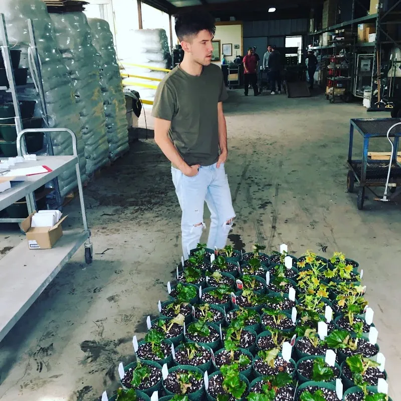 Ranch House Recovery - Photo 5