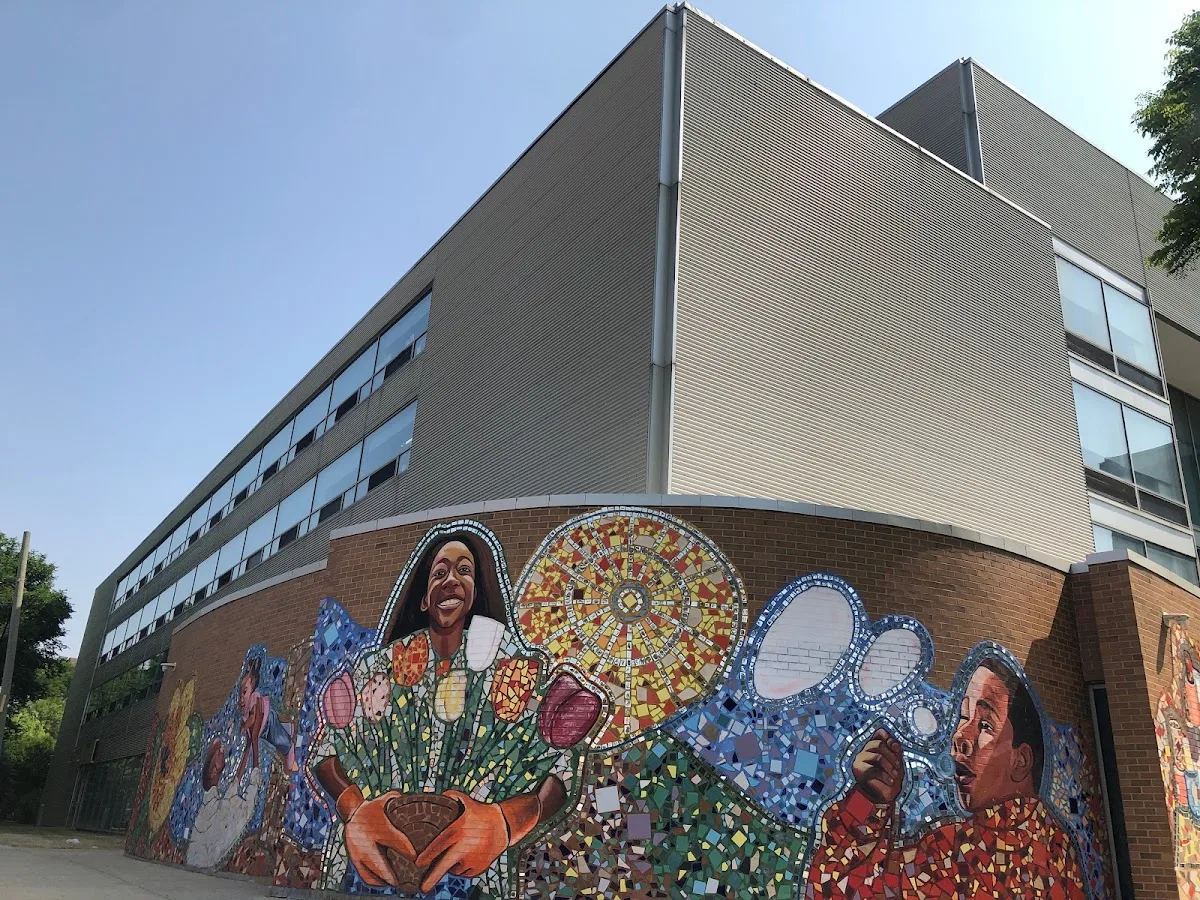 A Safe Haven Foundation - Photo 3