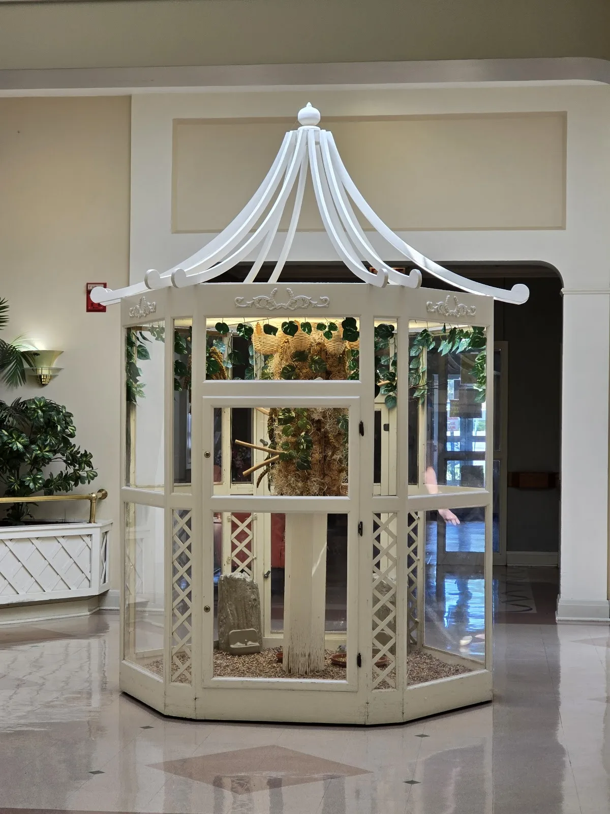 Alta Rehab at Oak Brook - Photo 5