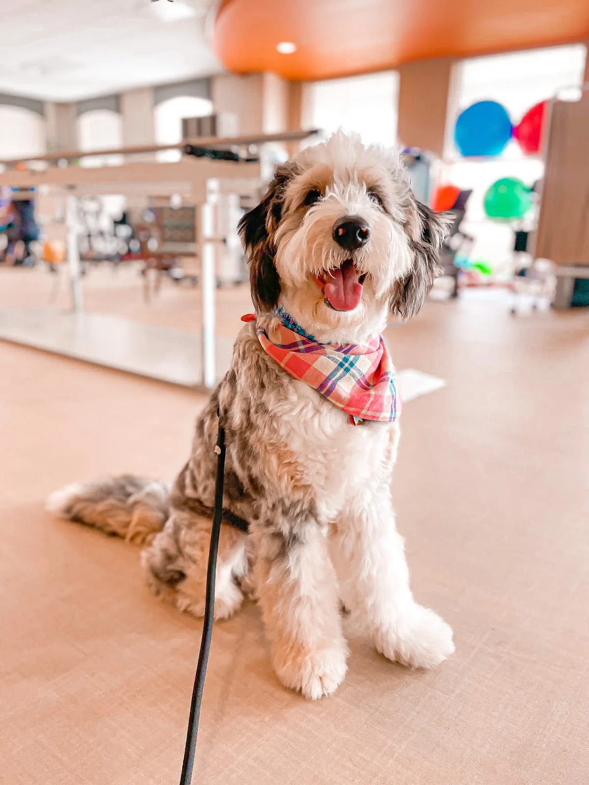 New Summit Rehabilitation and Healthcare - Photo 4