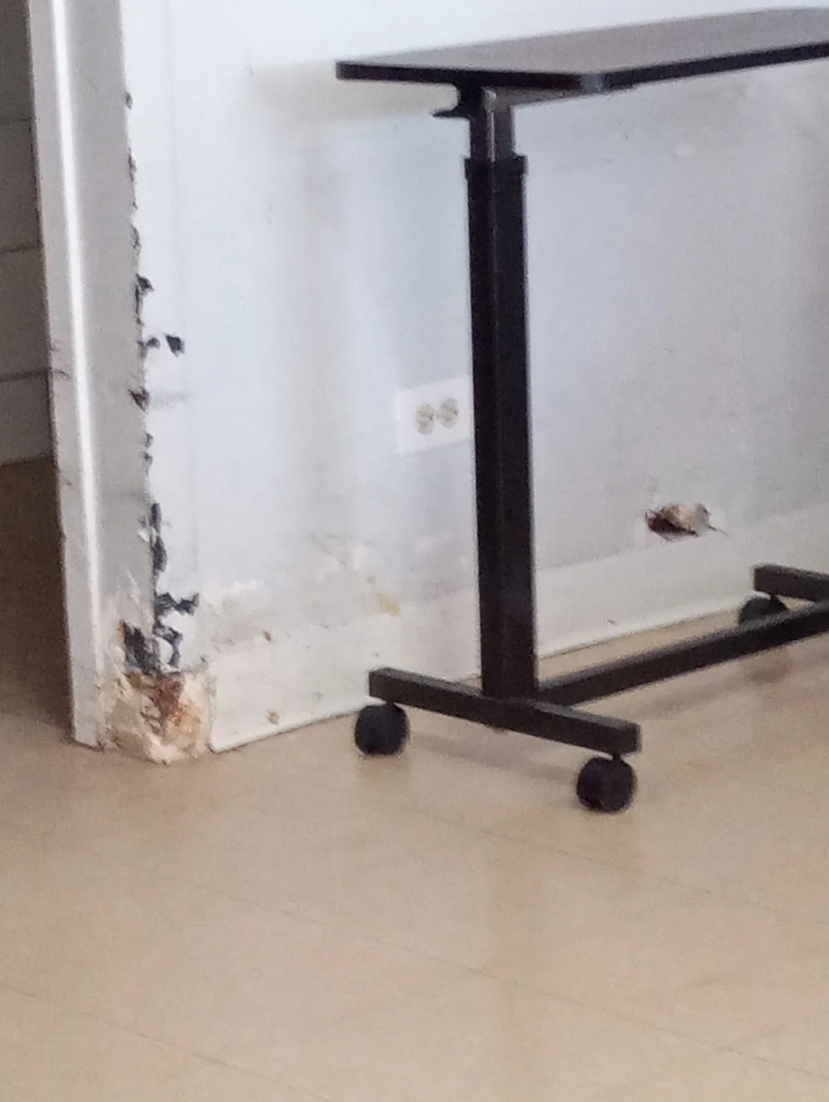 Kensington Place Nursing And Rehabilitation Center - Photo 4